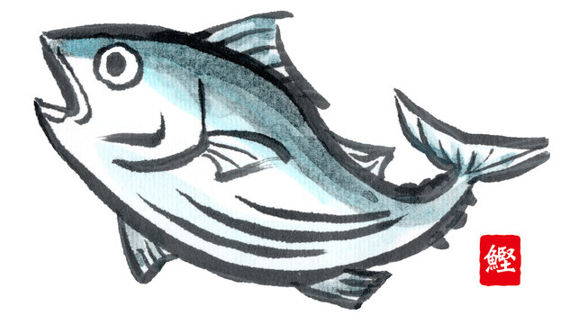 絵手紙風の鰹の絵と漢字で書いた 鰹 の落款 Stock Illustration Adobe Stock 絵手紙風の鰹の絵と漢字で書いた 鰹 の落款 Stock Illustration Adobe Stock