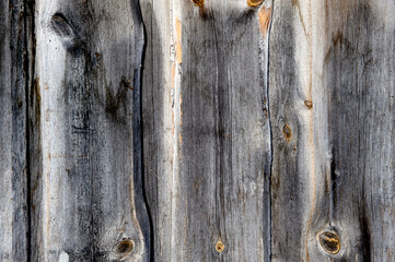 Old boards stand upright, wooden plank background