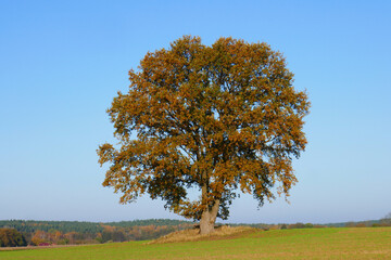 Herbst in Norddeutschland