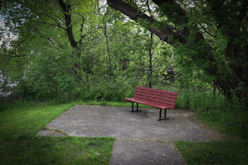 A single brown bench and a path in focus in a secluded quiet corner surrounded by trees in a cozy shady green park in summer