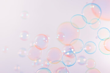Beautiful Pink and Blue Soap Bubbles Floating on White Background. Soap Sud Bubbles Water.	