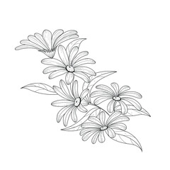 Fototapeta na wymiar Botanical illustration. Gerbera flower. Black and white flower arrangement. Sketch hand drawing of a flower, linear art on a white background. Vector illustration