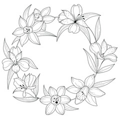 Botanical illustration. Flower wreath - alstroemeria and daffodil. Black and white flower arrangement. Sketch hand drawing of a flower, linear art on a white background. Vector illustration