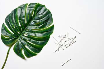 Pile of cotton swabs and tropical palm leaf on white background