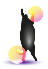 Vector illustration of dancing cat. Black cat dance. Dancing cat silhouette