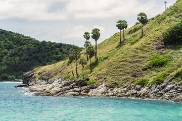 Obraz premium Green hill with tall palm trees and rocky shore, in sunny weather with waves. Tropical landscape with palm tree.