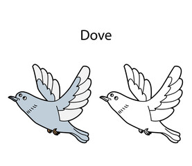 Funny cute bird dove isolated on white background. Linear, contour, black and white and colored version. Illustration can be used for coloring book and pictures for children