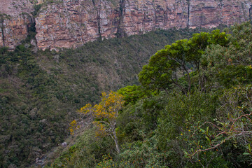 Fototapeta premium Deep Tree-Lined Valley with Steep Rocky Sides