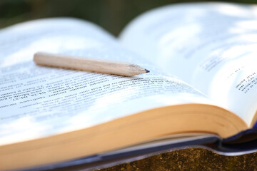 Close up of open book and pencil.