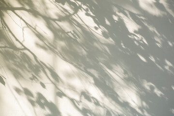 Shadow overlay effect for photo. Shadows from tree leaves and tropical branches on a white wall in...