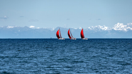 Red sailing boats