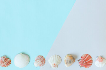 Summer background. Seashells on a minimal gray-blue background. Place for text