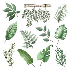 A selection of tropical green leaves individually drawn