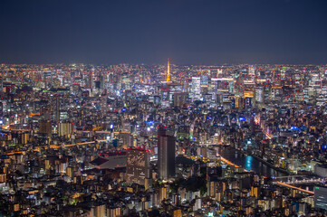 Tokyo city skyline at night.