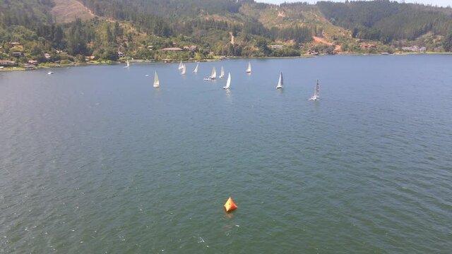 AERIAL - Sailboats in Lake Vichuquen, Chile, static wide shot