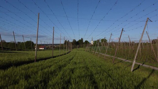 Flying through a hop field over some crops and in the direction of a train