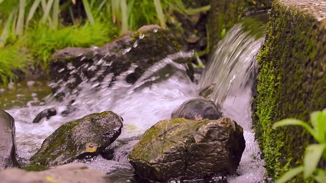 Kleiner Bach mit Wasserfall und Steinen
