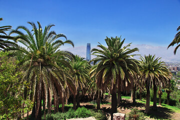Panoramic view of Torre Costanera, The skyscraper in Santiago, Chile from San Cristobal Hill, Chile