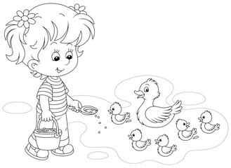 Little girl farmer standing with a bucket of feed grain and feeding a merry brood of small ducklings and a cute duck on a pond in a village, black and white vector cartoon illustration