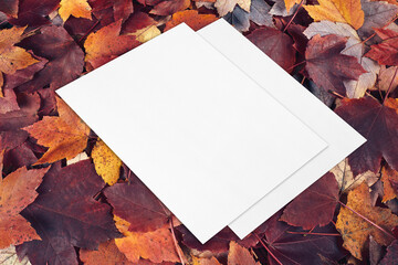 Naklejka na ściany i meble Autumn composition with two empty white paper card, poster or flyer mockups template lying diagonally on red fall leaves texture background. Seasonal stationery, blank invitations. Isometric view