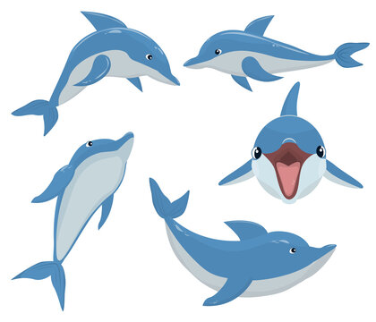 set of vector illustrations with dolphins isolated on a white background