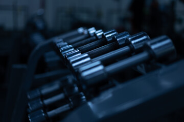 Naklejka na ściany i meble Gym. Metal dumbbells in a row Sport and fitness concept