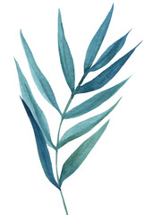 Abstract tropical leaf on isolated white background, watercolor illustration
