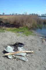 Ecology of Ukraine. Trash near the lake in Ukrainian capital. Environmental contamination. Illegal junk dump. Kiev , Ukraine
