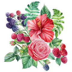 Obraz premium Watercolor floral elements. Raspberry, blackberry, rose and hibiscus flowers, botanical illustration