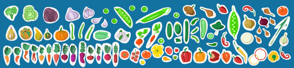 Stickers with a set of vegetables. Vector illustration in a flat cartoon style on a blue background.