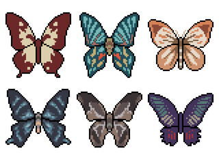 pixel art butterfly top view