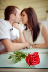 A scarlet rose on a table at a young couple in love. - 435357337