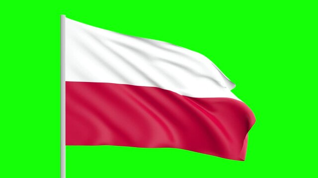 National Flag Of Poland Waving In The Wind on Green Screen With Alpha Matte
