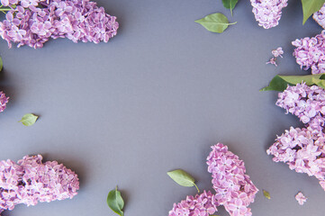 Empty space gray horizontal backdrop with lilac