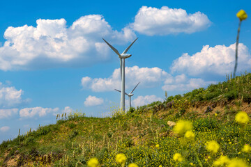 wind turbine