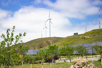 wind turbine & solar panel