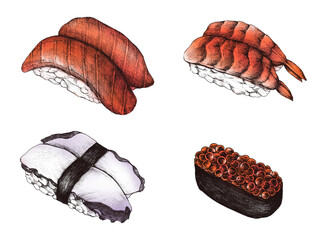 Hand drawn sushi set