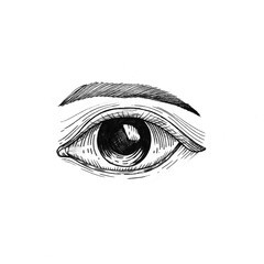 Hand drawn eye isolated on white background