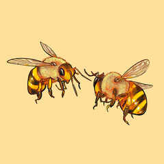 Drawing of bumble bees