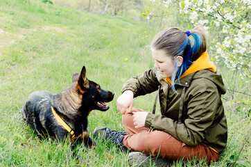 A teenage girl with blue hair is playing with her Australian kelpie dog, sitting on the grass in the meadow. 