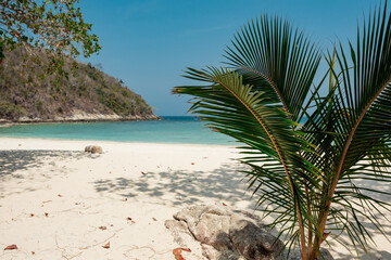 Paradise tropical beach background outdoors and summer vacation concept.