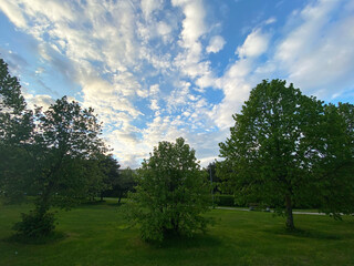 Fototapeta na wymiar Bright sky in the park in spring