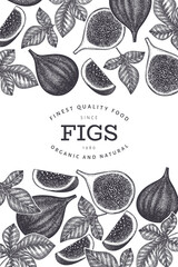 Hand drawn fig fruits design template. Organic fresh food vector illustration. Retro fig fruit banner.