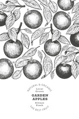 Apple branch design template. Hand drawn vector garden fruit illustration. Engraved style fruit retro botanical banner.