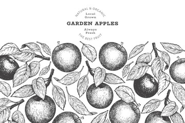 Apple branch design template. Hand drawn vector garden fruit illustration. Engraved style fruit retro botanical banner. © lubovchipurko