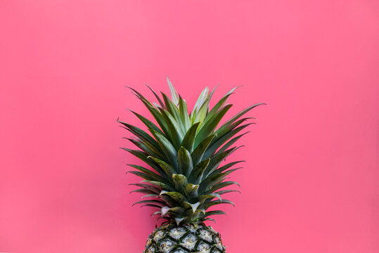 Pineapple with pink background