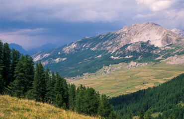 col de Vars, Vars, Alpes du Sud, Hautes Alpes, 05