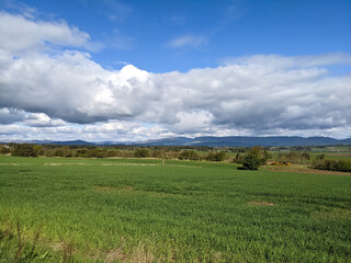 Landscape of Scotland - fields of green crops, mountains and blue sky