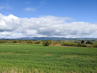 Fototapeta na wymiar Landscape of Scotland - fields of green crops, mountains and blue sky
