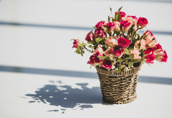Red pink romantic roses in homemade weave basket interior decorated on white table with shadow at comfortable home. There is sunlight on sunny day with natural green trees background outside window.